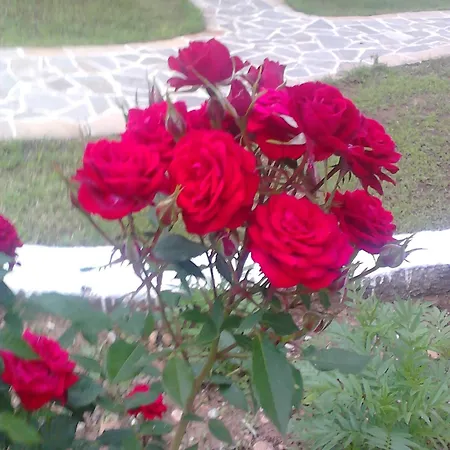 Asterias Appartement Astris