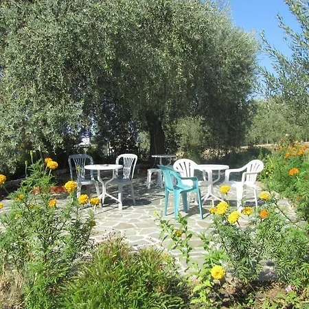 Asterias *