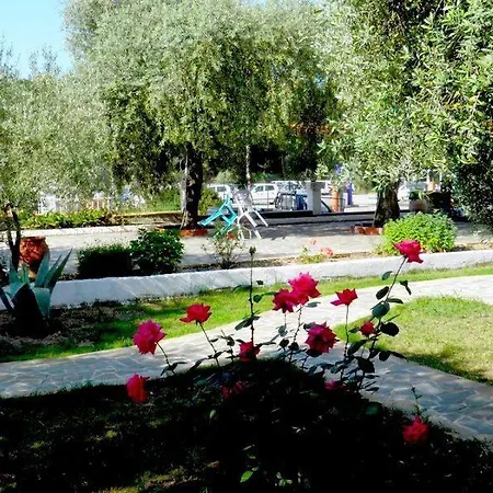 Asterias * אסטריס