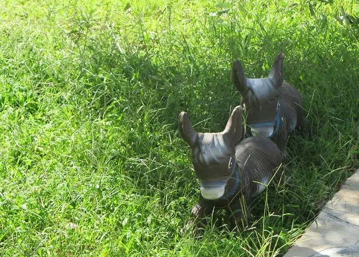 Asterias * Αστρίδα