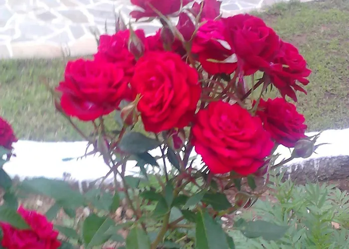 Asterias Διαμέρισμα Αστρίδα